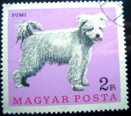 Selo postal Hungria de 1967 Pumi