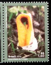 Selo postal do Brasil de 2019 Clathrus Columnatus