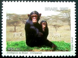 Selo postal do Brasil de 2007 Chipanzés