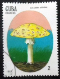 Selo postal de Cuba de 1988 Amanita Citrina