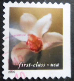 Selo postal dos Estados Unidos de 2000 Cymbidium Orchid