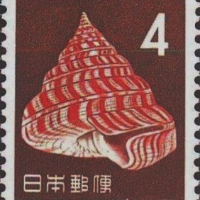1963 - Emperor's Slit Shell