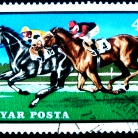 1971 - Galloping