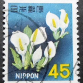 1967 - Asian Skunk Cabbage