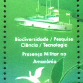 2000 - Navio e Aves