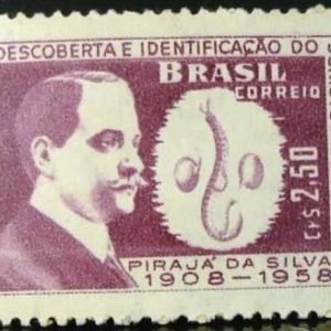 Selo postal do Brasil de 1959 Pirajá da Silva M