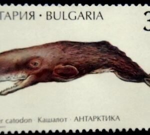 Selo postal da Bulgária de 1995 Sperm Whale N