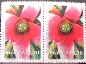 Par de selos postais do Brasil de 1977 Neoregelia Carolinae