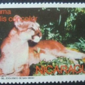 Selo postal da Nicarágua de 1974 Puma