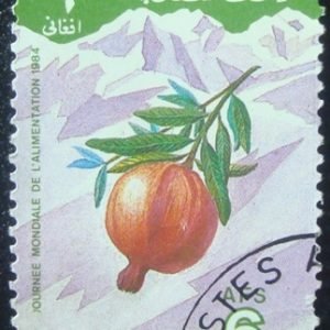 Imagem do produto ofertado - Se desejar peça mais detalhes
