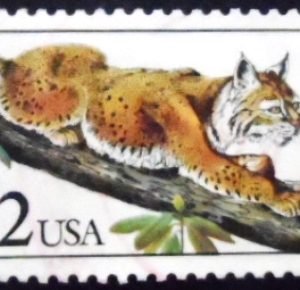 Selo postal dos Estados Unidos de 1990 Bobcat