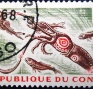 Selo postal da Rep Congo de 1964 Oceanic Squid MCC