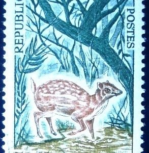 Selo postal da Costa do Marfim de 1964 Water Chevrotain