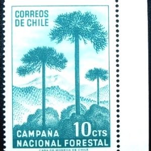 Selo postal do Chile de 1967 Araucária