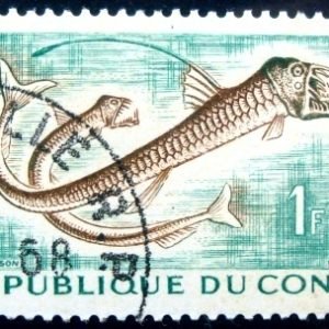 Selo postal da Rep. Popular do Congo de 1961 Sloane's Viperfish