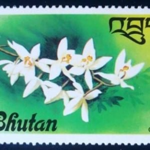 Selo postal do Bhutan de 1976 Coelogyne nitida