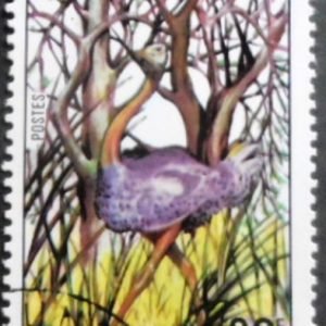 Selo postal de Camarões de 1977 North African Ostrich