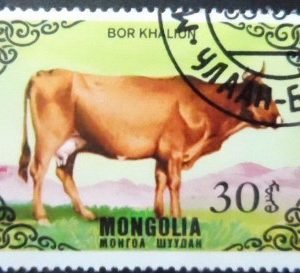 Selo postal da Mongólia de 1985 Bor Khaliun