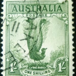 Selo postal da Austrália de 1956 Superb Lyrebird