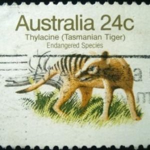 Selo postal da Austrália de 1981 Thylacine