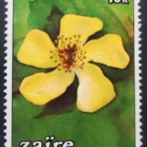 Selo postal do Zaire de 1984 Hypericum revolutum M