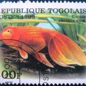 Selo postal comemorativo Togo 1999 Pearlscale Veiltail Goldfish (Carassius auratus)