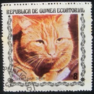 Selo postal da Guinea Equatorial de 1978 Short-haired Tabby