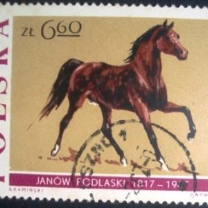 Selo postal comemorativo da Polonia de 1967 Stallion 'Ofir