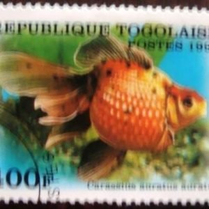 Selo postal comemorativo Togo 1999 Comet-tailed Goldfish (Carassius auratus)