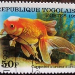 Selo postal comemorativo Togo 1999 Veiltail Goldfish (Carassius auratus)