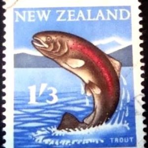 Selo postal da Nova Zelândia de 1960 Rainbow Trout