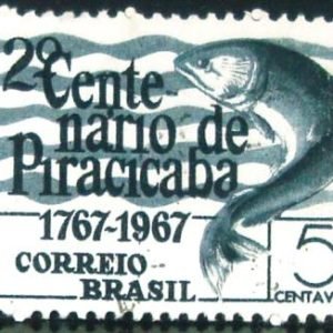 Selo postal do Brasil de 1967 Rio de Piracicaba - C 575 U