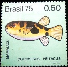 Selo postal do Brasil de 1975 Mamaiacu M