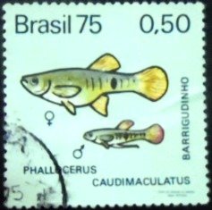 Selo postal do Brasil de 1975 Barrigudinho U