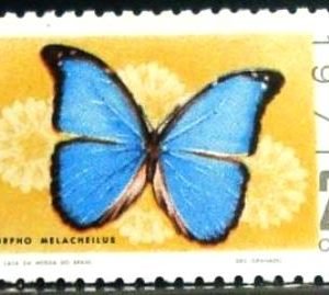 Selo postal do Brasil de 1971 Morpho