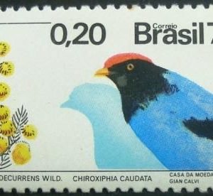 Selo postal do Brasil de 1973 Acácia e Tangará