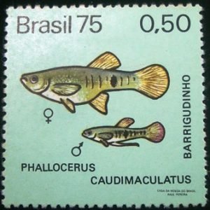 Selo postal Comemorativo do Brasil de 1975 - C 889 N