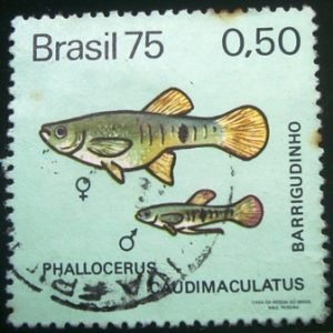 Selo postal Comemorativo do Brasil de 1975 - C 889 U