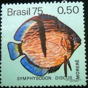 Selo postal Comemorativo do Brasil de 1975 - C 890 M