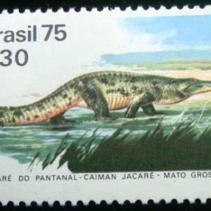 Selo postal Comemorativo do Brasil de 1975 - C 894 M