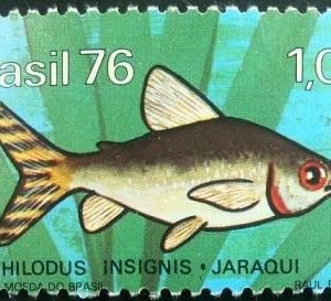 Selo Postal Comemorativo do Brasil de 1976 - C 941 n
