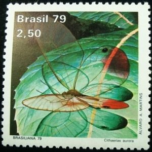 Selo postal do Brasil de 1979 Cithaerias Aurora N