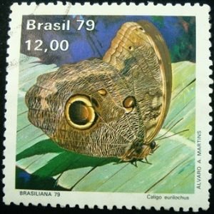 Selo postal comemorativo do Brasil de 1979 - C 1100 U