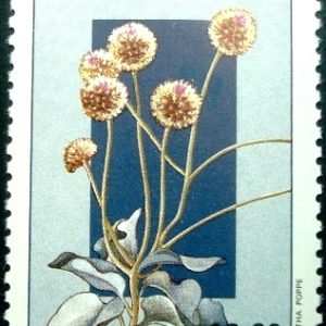 Selo postal do Brasil de 1981 Eremanthus