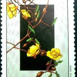 Selo postal do Brasil de 1981 Cássia