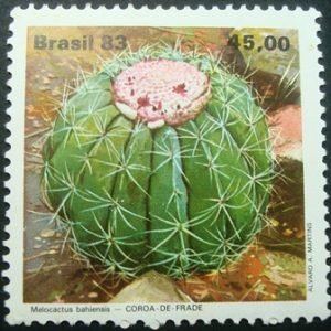 Selo postal Comemorativo do Brasil de 1983 - C 1352 N