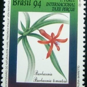Selo postal COMEMORATIVO do Brasil de 1994- C 1892 M
