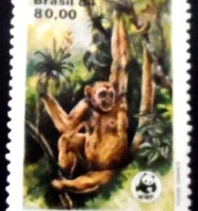 Selo postal do Brasil de1984 Macaco Muriqui M