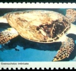 Selo postal do Brasil de 1987 Tartaruga-de-Pente - C 1549 M