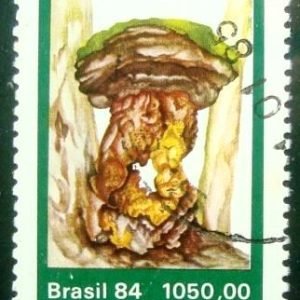 Selo postal do Brasil de 1985 Calvatia Sp